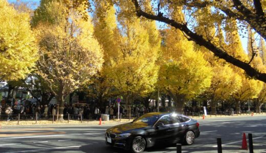 都心のまち情報（青山/Aoyama）